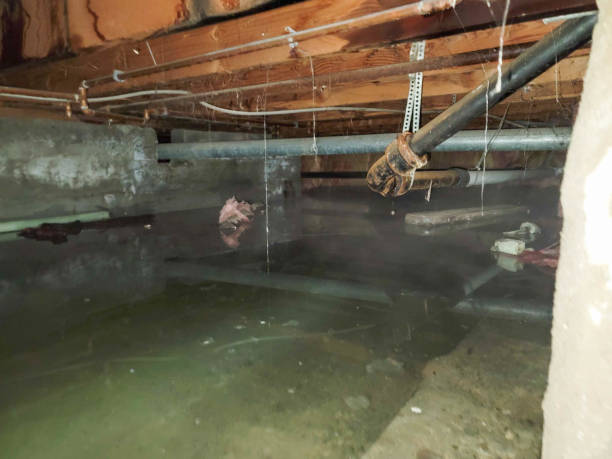 Best Water damage repair service  in Bellmore, NY