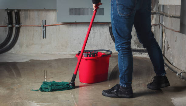Best Fire Damage Restoration  in Bellmore, NY