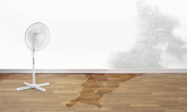 Best Water damage restoration experts  in Bellmore, NY