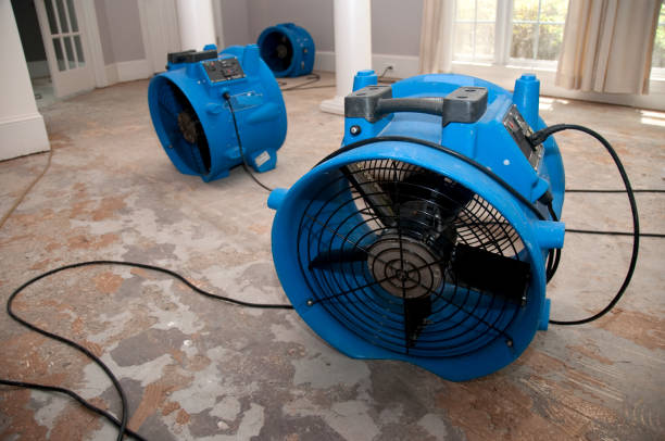 Best Water damage restoration insurance claims  in Bellmore, NY