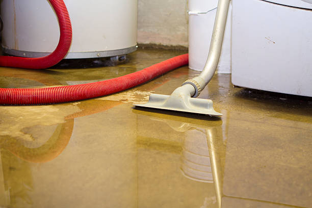 Best Flooded house restoration  in Bellmore, NY