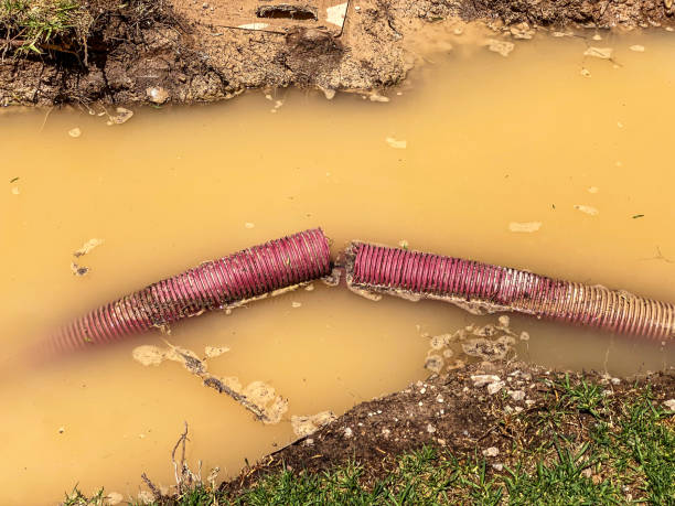 Best Water damage restoration near me  in Bellmore, NY
